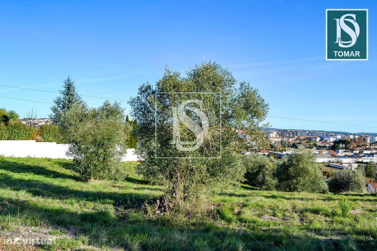 Terreno  Venda em Tomar (São João Baptista) e Santa Maria dos Olivais, - Grande imagem: 4/21