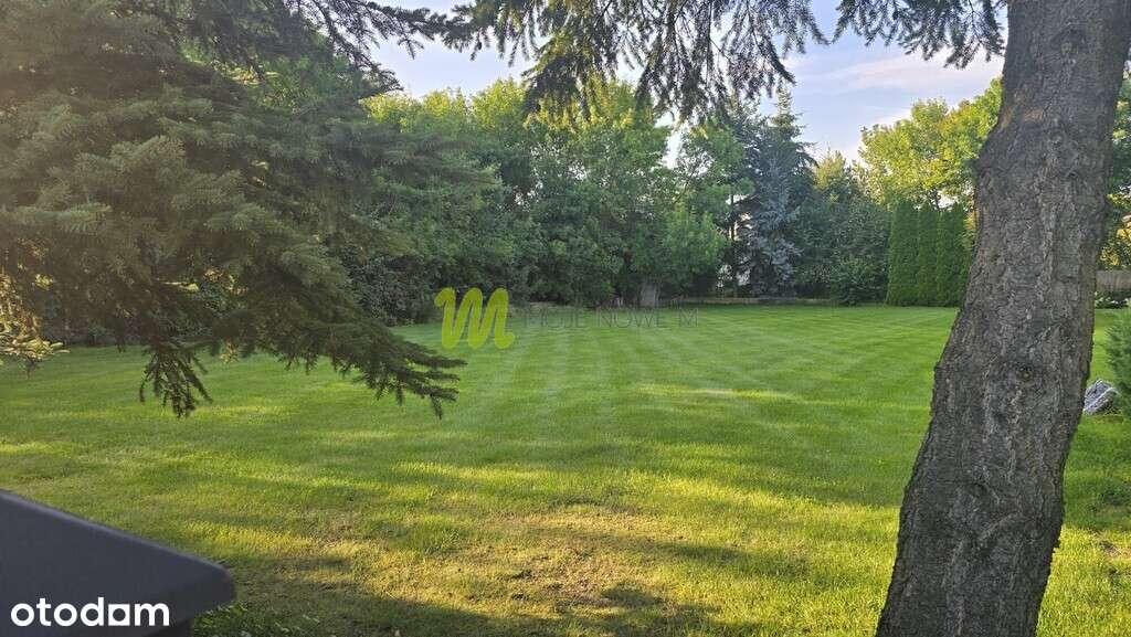 działka budowlana, z trawnikiem i drzewami - Pełny obrazek: 4/8
