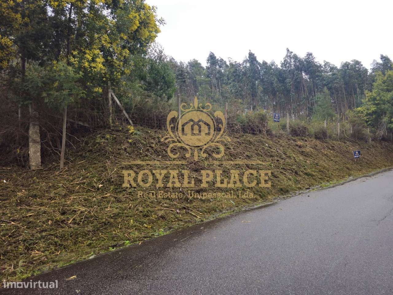 Terreno com 19.200m2, Santa Maria de Sardoura - Grande imagem: 5/12