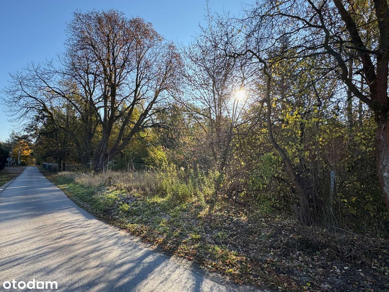 Działka budowlana. Bieniewiec, Żabia Wola.-3