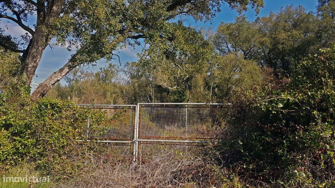 Quinta na Bairrada-6