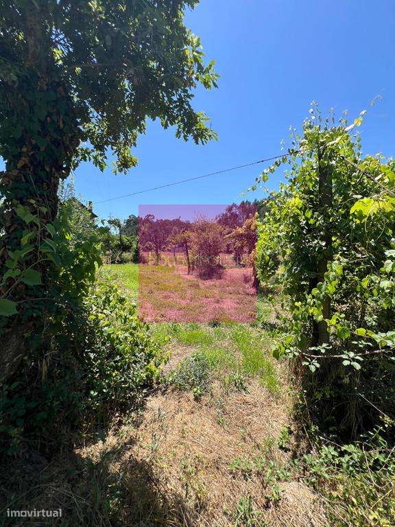 Moradia para reconstrução c/ três artigos 1 urbano 2 rusticos-0