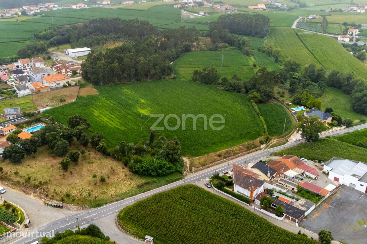 Terreno p/ construção de moradias c/18.000m2 - Modivas - Vila do Co... - Grande imagem: 2/21