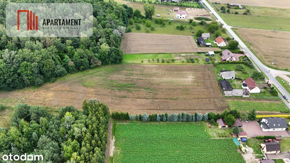 Tylko u nas! Działka 1,13 ha Gruczno media WZ - Pełny obrazek: 4/9