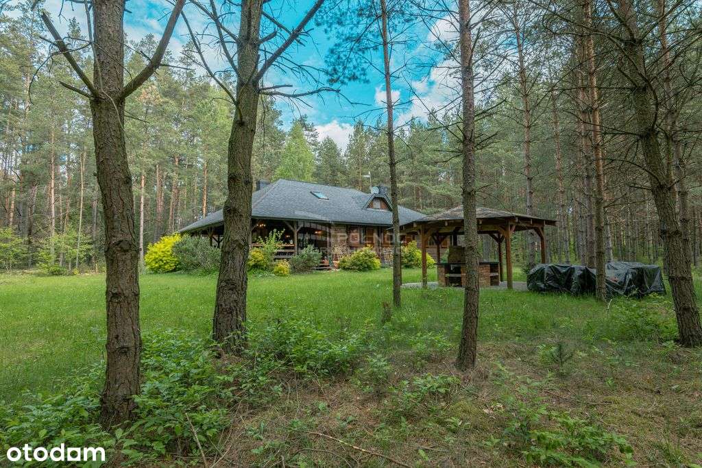 Dom z własnym lasem obok 3 jezior - Pełny obrazek: 4/20