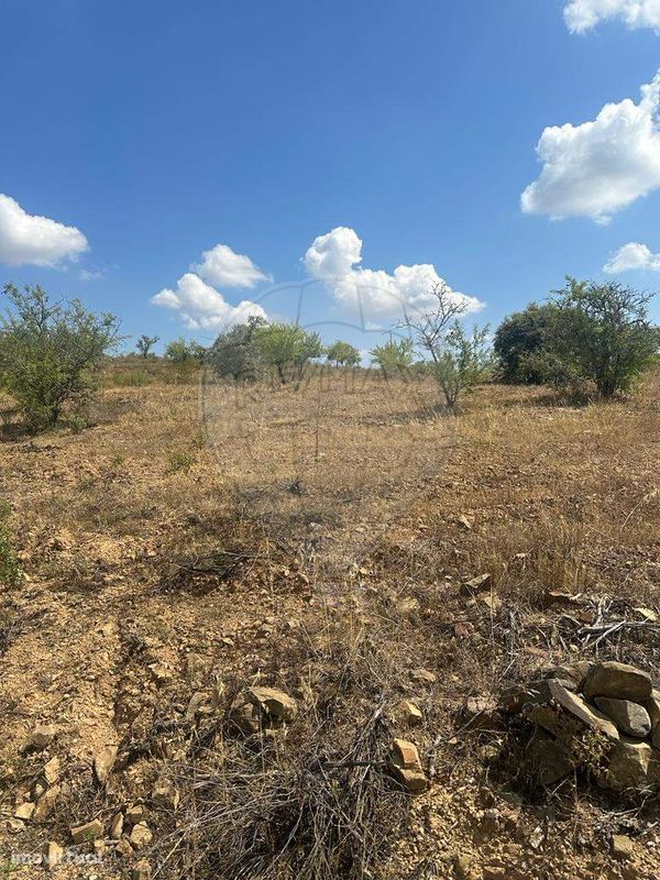 Terreno  para venda