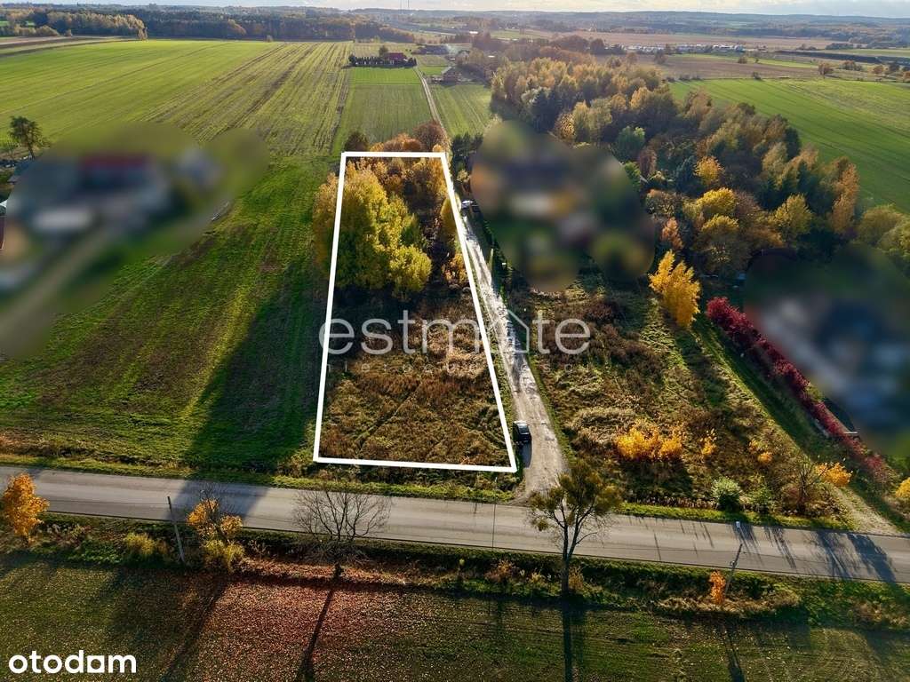 Działka 4488 m² Buczek – z planem zabudowy - Pełny obrazek: 4/6
