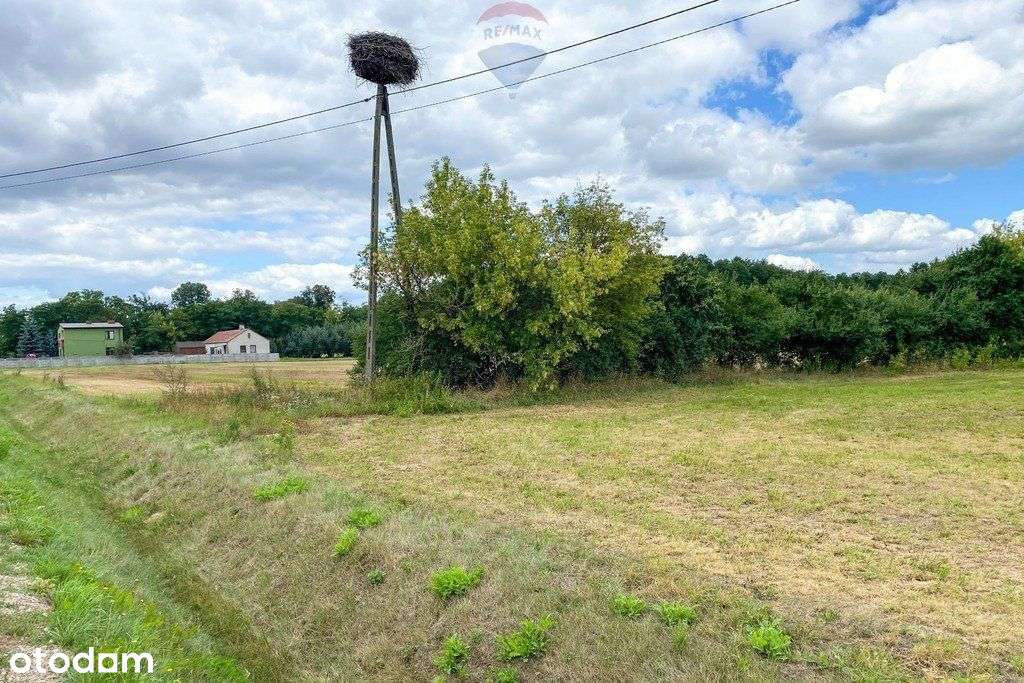 Działka rolno-budowlana 3149m2, Łaziska - Pełny obrazek: 4/8