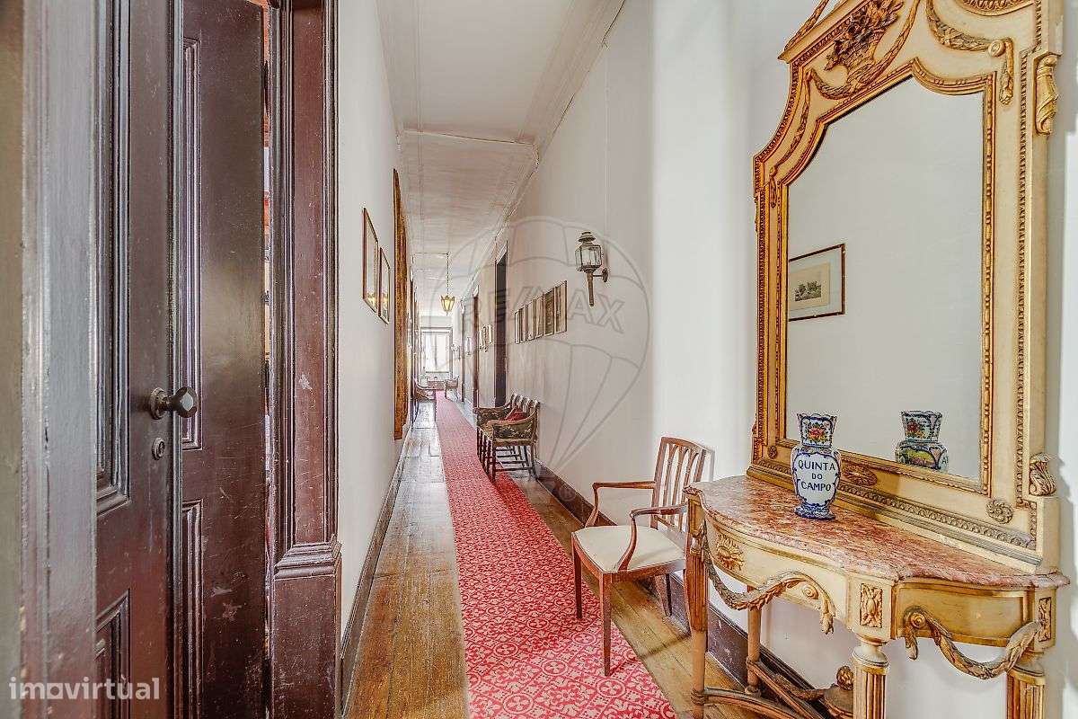 Quinta T21 para venda-12