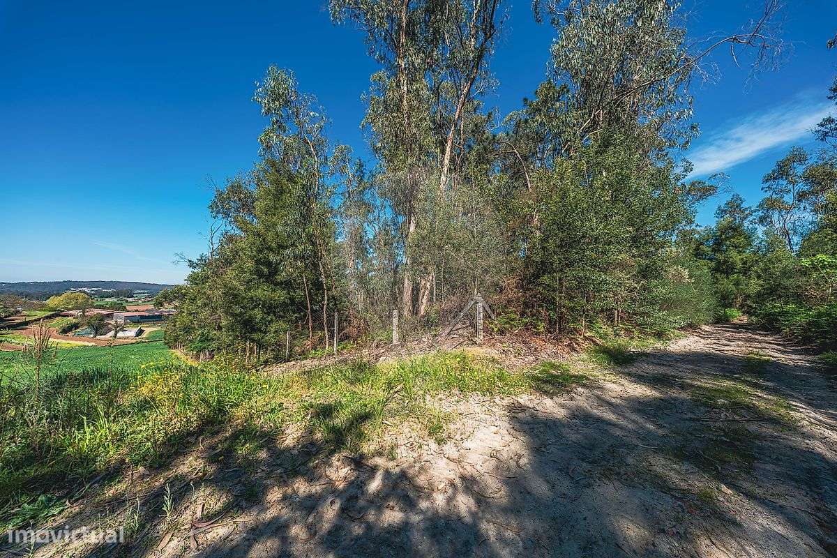 Moradia T4 para venda-33