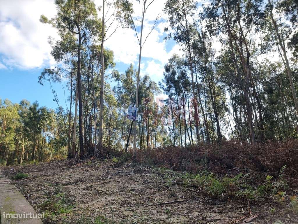 Terreno de construção em Gamil Barcelos - Grande imagem: 5/5