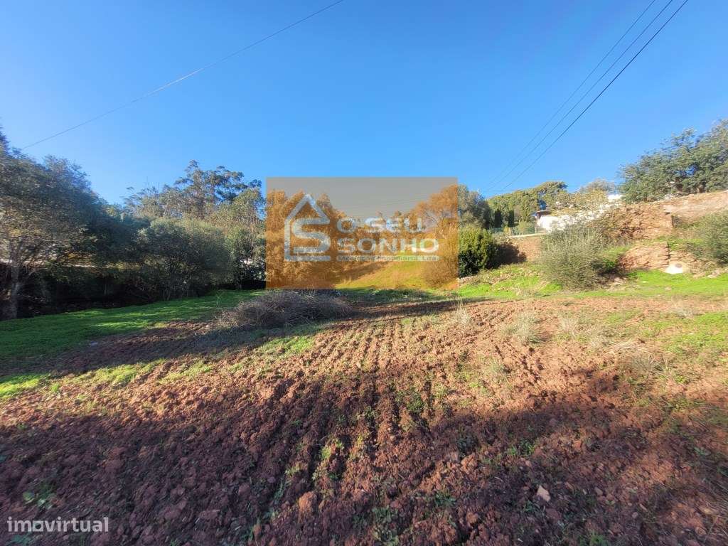 Terreno com Ruína - Grande imagem: 3/8