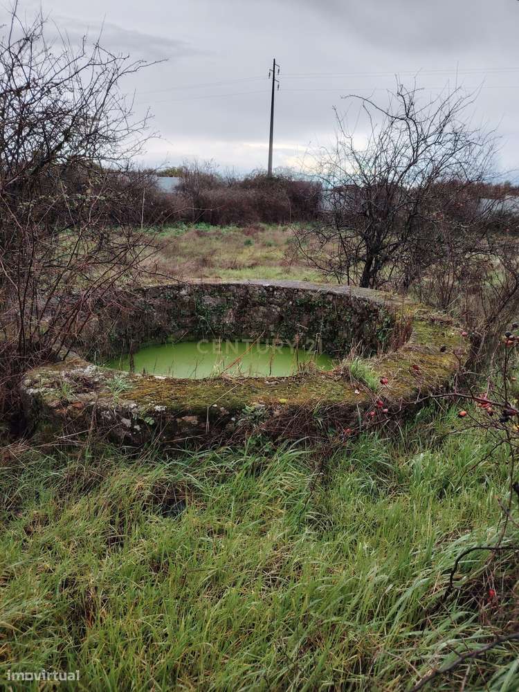 OPORTUNIDADE DE INVESTIMENTO ESTRATÉGICO- Terreno Urbano com 44.250 m²-10