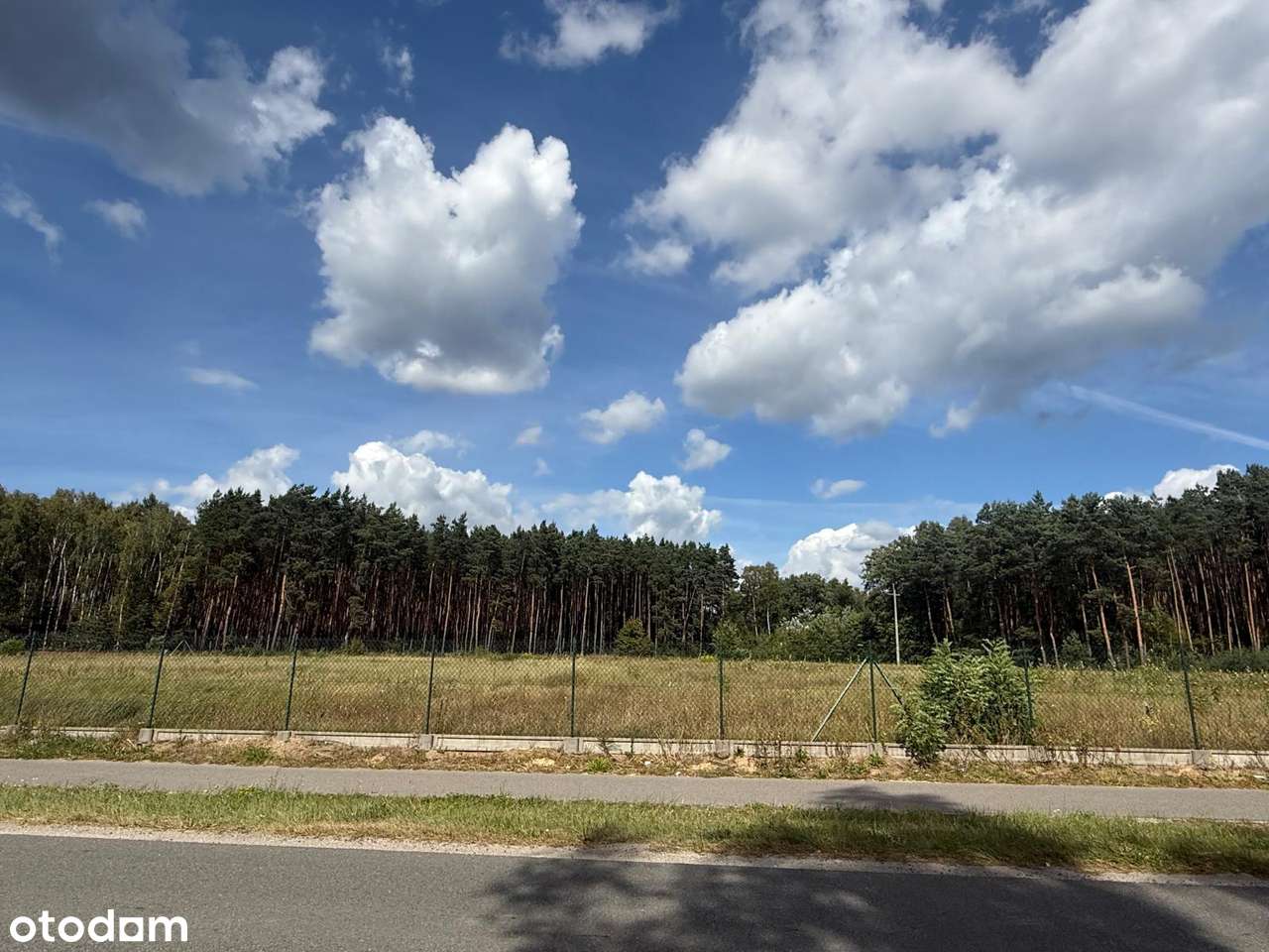 Działka 7500m2 Kruszyn Krajeński / pod inwestycje/usługi-1