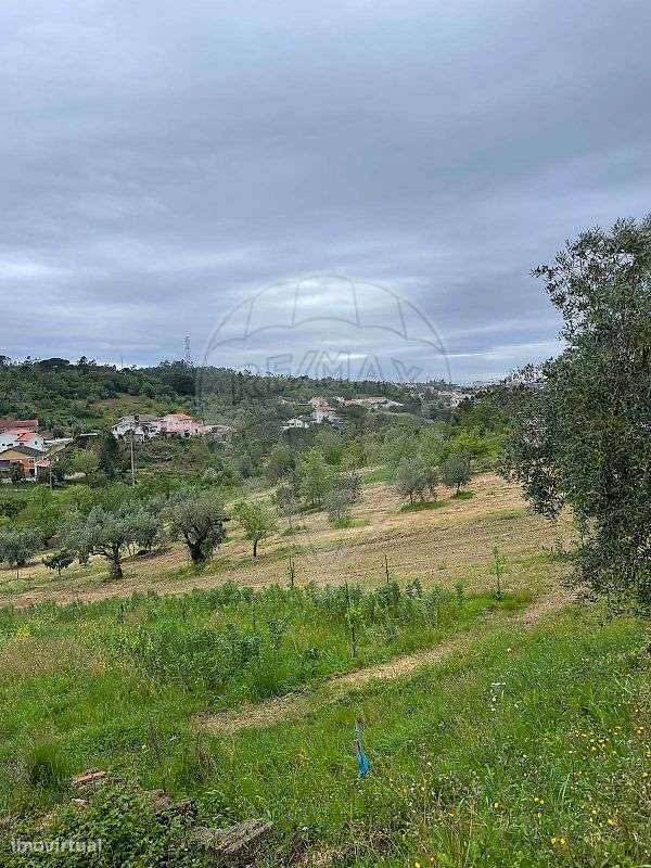 Terreno  para venda - Grande imagem: 4/14