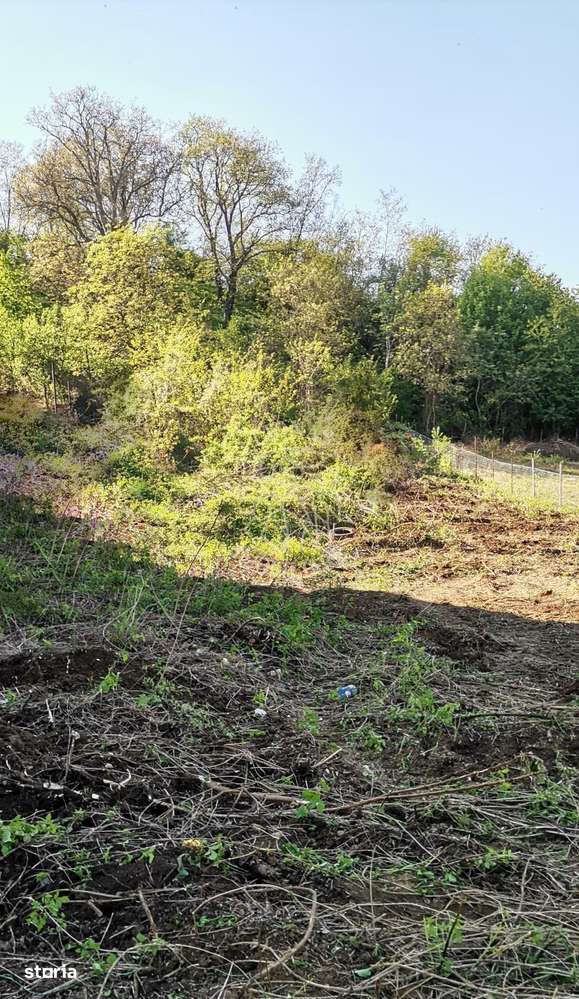 Teren intravilan 1000 mp-ideal afacere,investitie,hala-Zona Centura - Imagine principală: 2/3