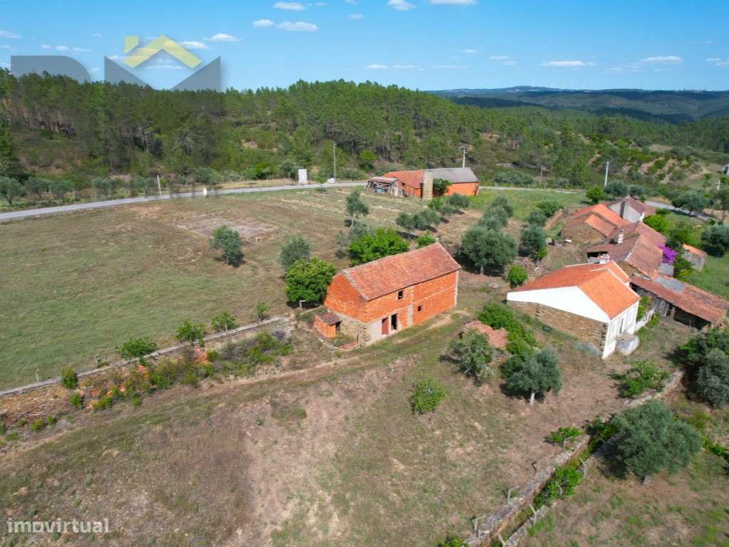 Quinta com casa de habitação - Grande imagem: 2/37