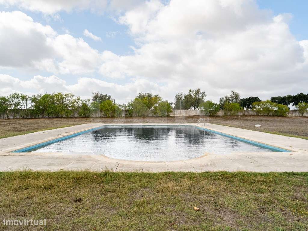 Quinta com 4,8 hectares e casa T9 em Vila Nova da Baronia-20