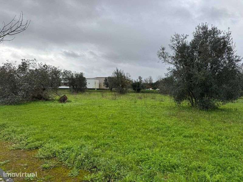 Terreno para construção - 7.076,49 m2 - Centro de Condeixa - Grande imagem: 5/12