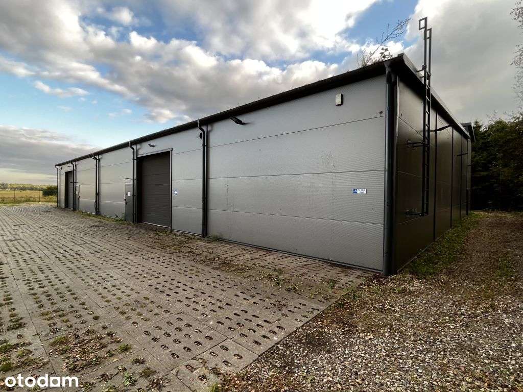 Hala produkcyjno - magazynowa z cz. biurowa na wynajem Gdansk Osowa - Pełny obrazek: 2/15