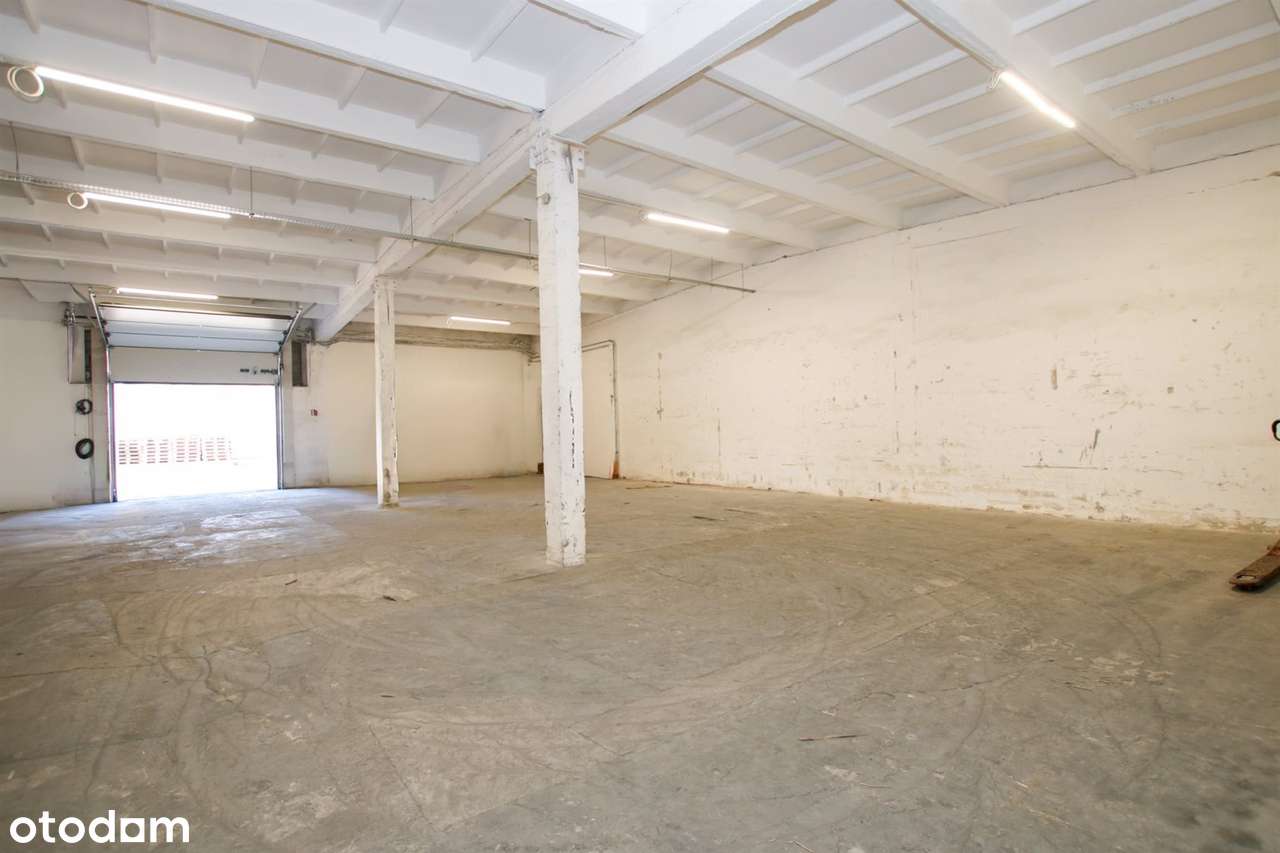 Na wynajem|magazyn|315m2|4,5 wysokość|Grunwaldzka - Pełny obrazek: 5/5