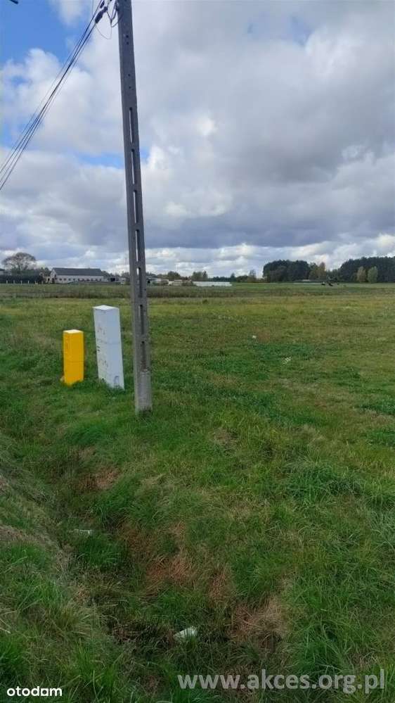 Mroków działka budowlana 4900m2 Mpzp - Pełny obrazek: 5/5