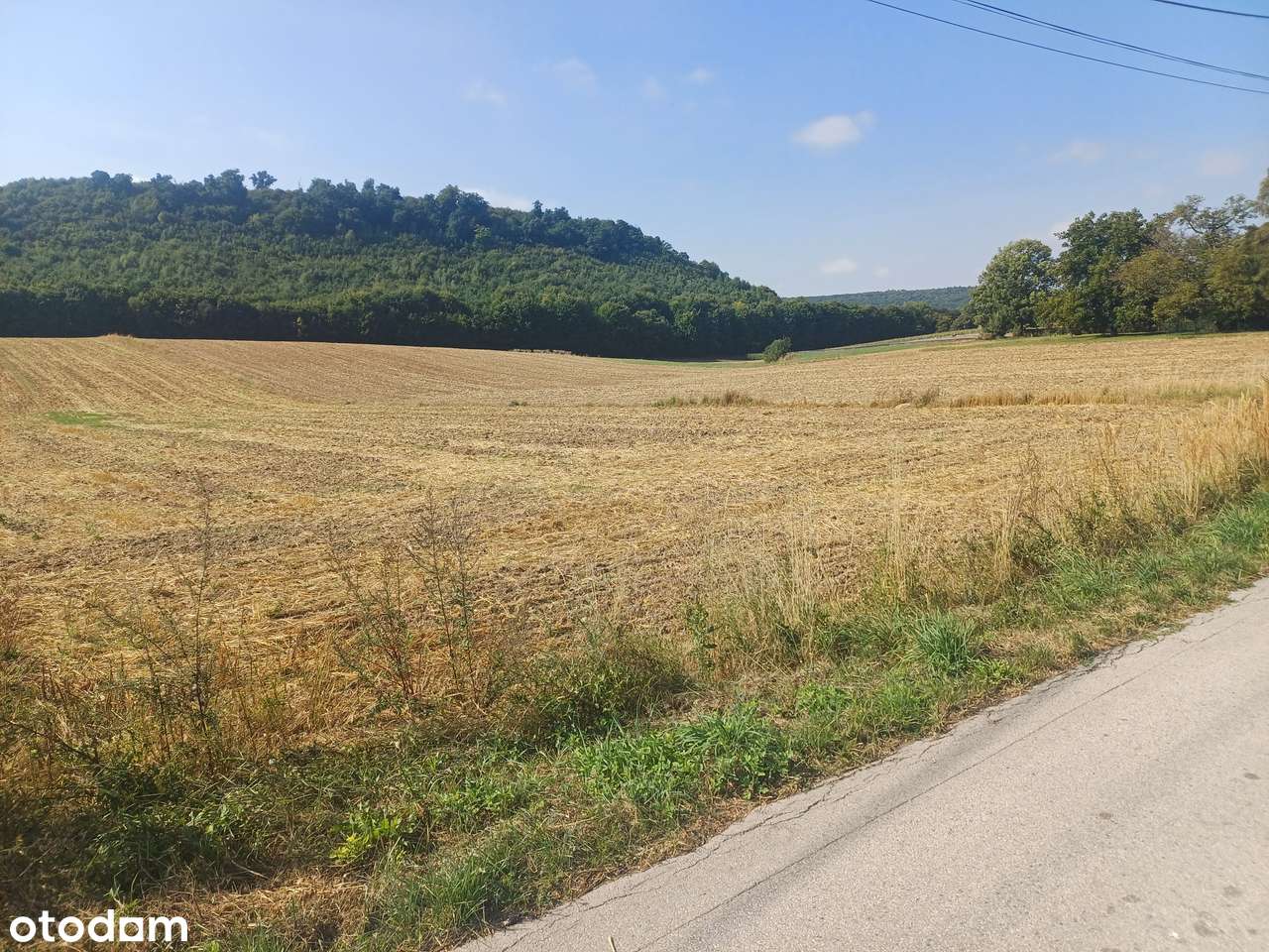 Klonów, gmina Racławice - piękne działki budowlane na sprzedaż-0