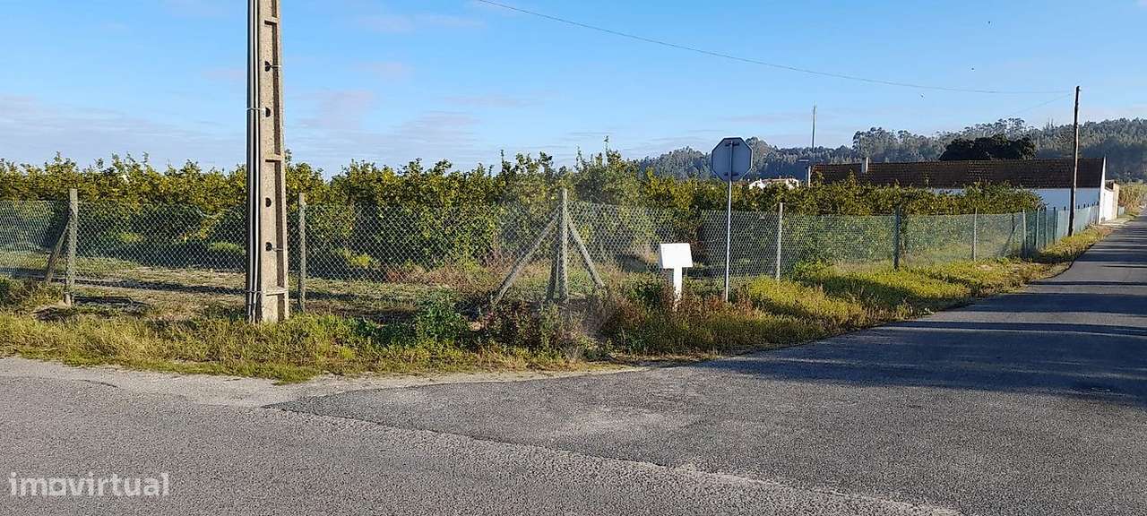 Quinta T3 para venda - Grande imagem: 3/5