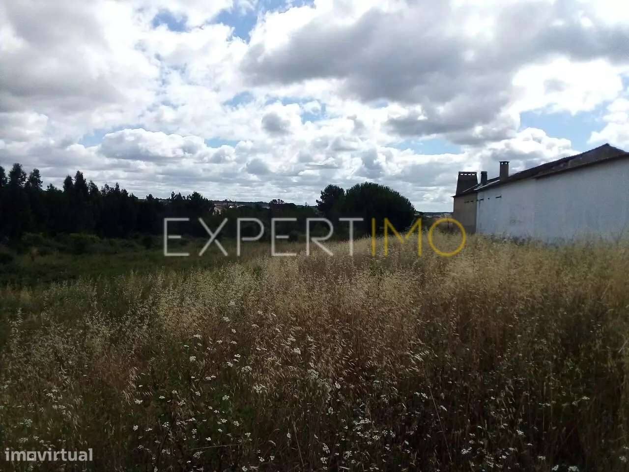 Terreno Manique do Intendente Azambuja com 2,6 hectares - Grande imagem: 4/19