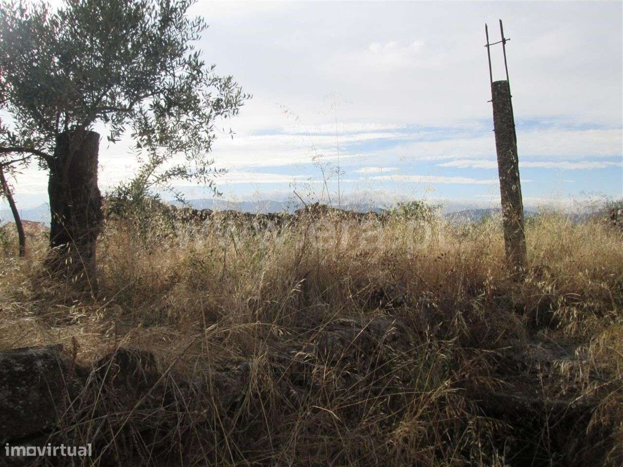 Terreno com ruina / Covilhã, Peraboa - Grande imagem: 4/13