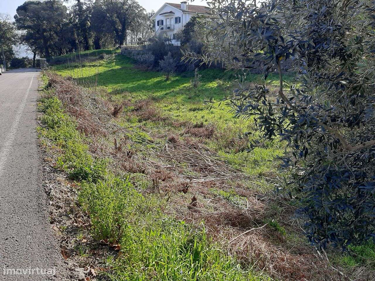 Vende terreno Torre Eja Entre-os Rios Penafiel - Grande imagem: 5/6