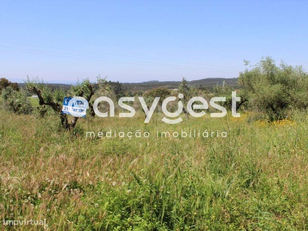 Terreno Rústico com construção em ruina junto a praia fluvial - Grande imagem: 2/8