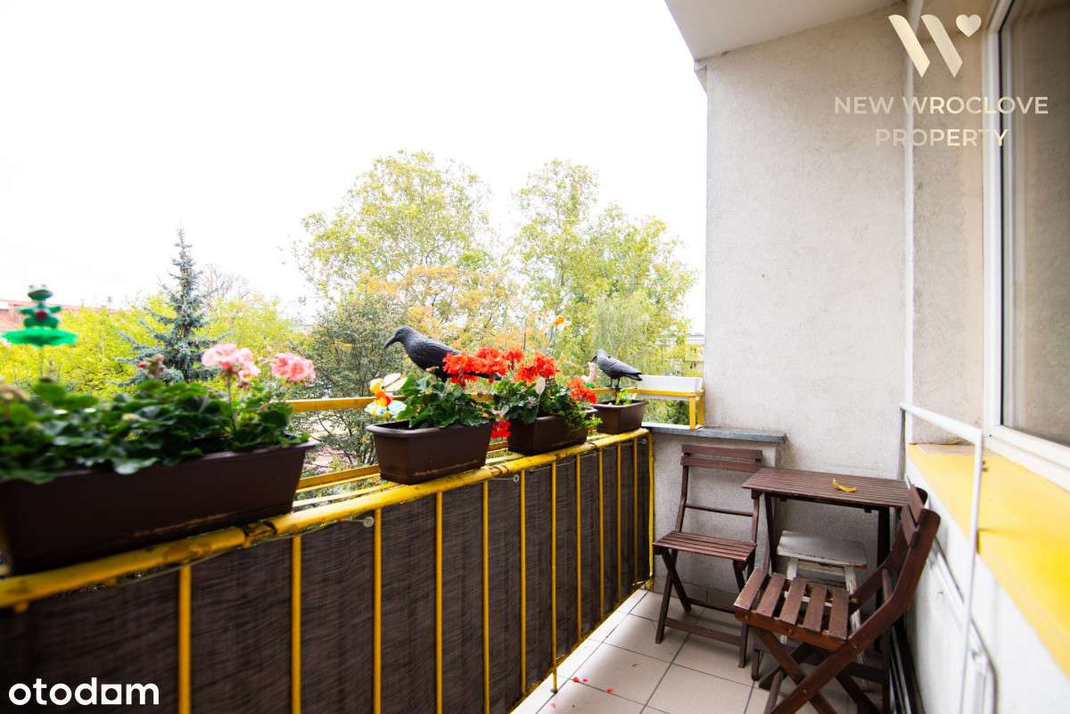 2 pokoje z balkonem,  przy renomie, centrum!!!-2