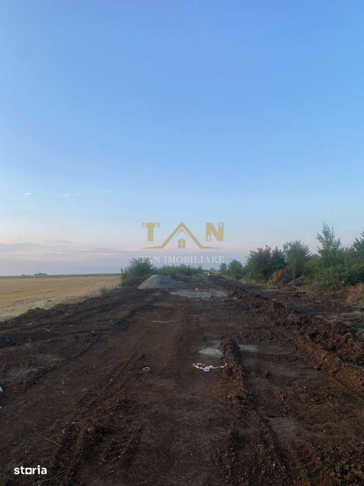 Teren Intravilan Dumbrăvița ,pretabil Duplex - Imagine principală: 2/8