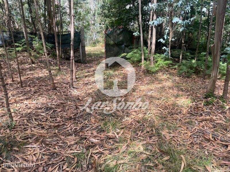 Terreno Agrícola e Florestal de 14.349m2 em Ferreiró, Vila do Conde - Grande imagem: 5/17