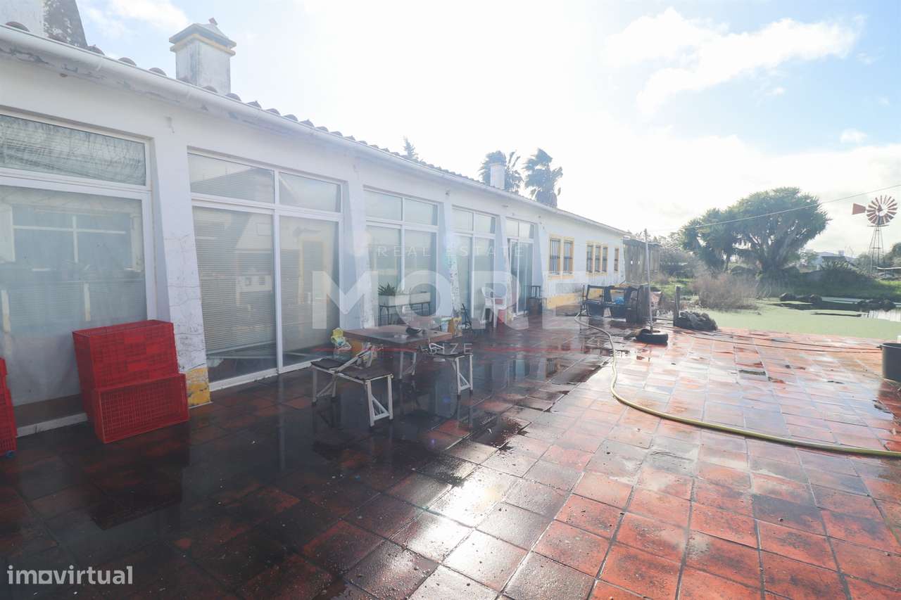 Quinta a 5 km de Évora - Potencial e Tradição!-18