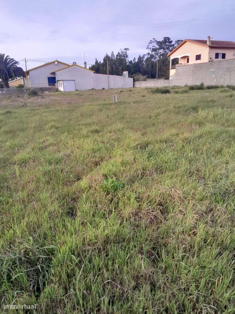 Terreno Rústico em Coimbra - Oportunidade Única! - Grande imagem: 2/8