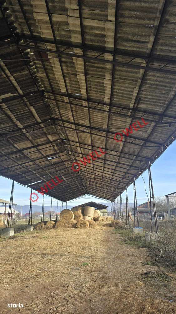 Teren industrial de vânzare în Ghidfalău cu depozit de fân! - Imagine principală: 4/5