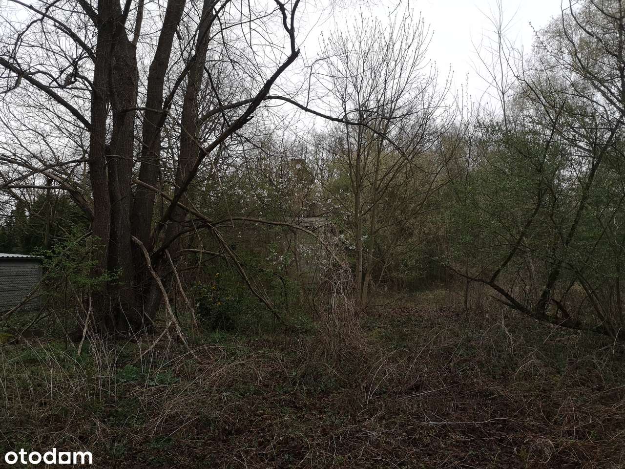 Puszczykowo, przy Warcie-10