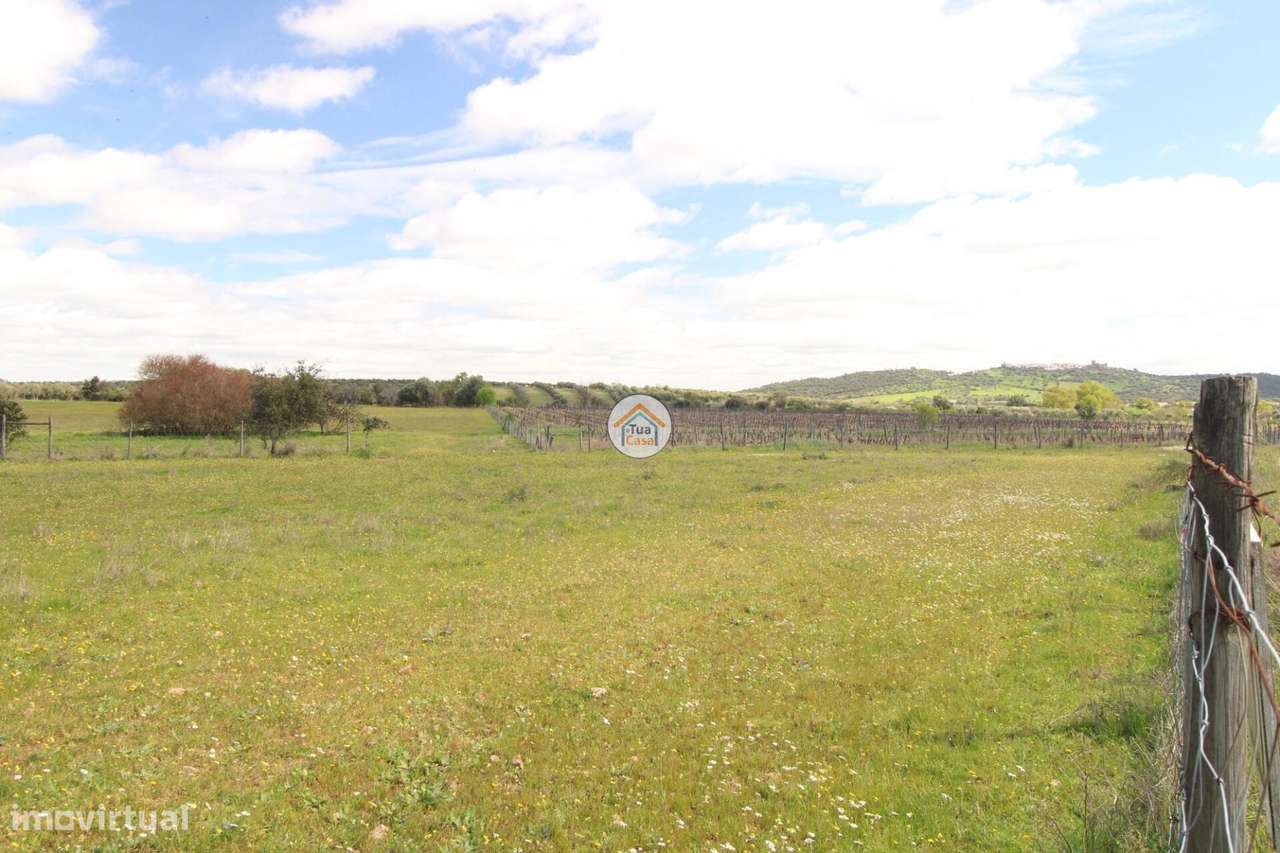 Terreno Rústico Urbanizável com 11.750 m2, Localizado em Motrinos em d - Grande imagem: 5/24