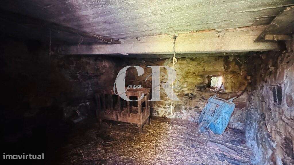 Quinta com casas de pedra para recuperar, poço e furo-6