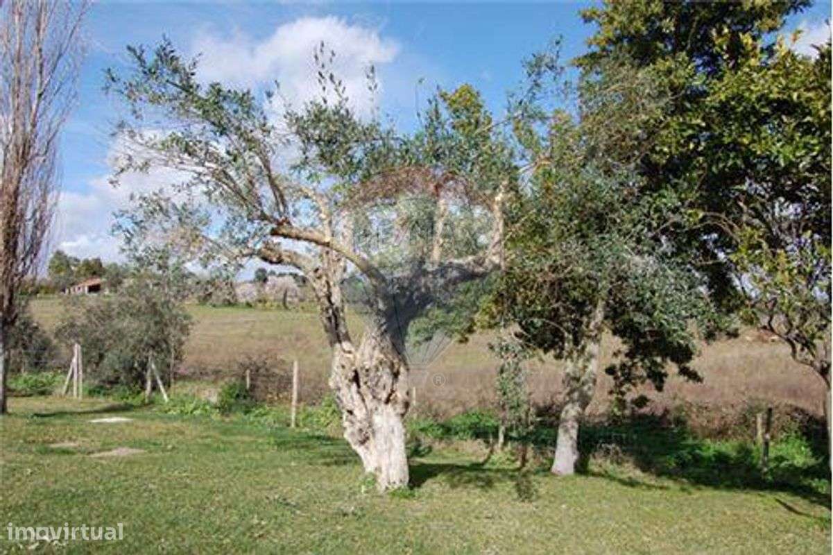 Terreno  para venda - Grande imagem: 2/5