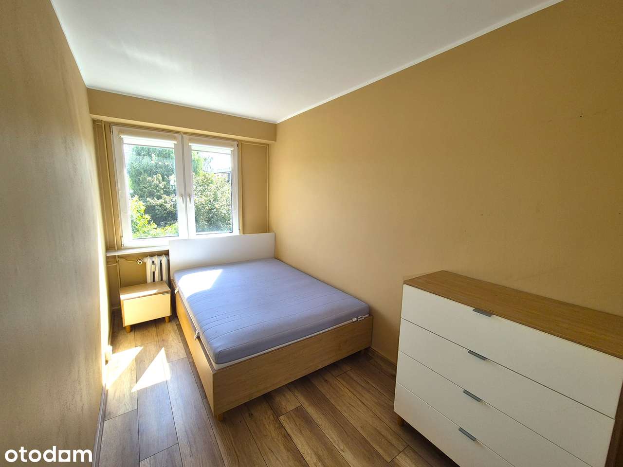 3 pokoje w centrum Bełchatowa- balkon, piwnica, dostępne od zaraz! - Pełny obrazek: 2/10