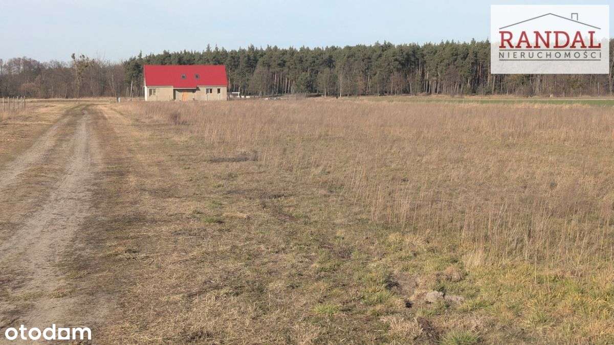 Działka  na sprzedaż - Pełny obrazek: 4/5