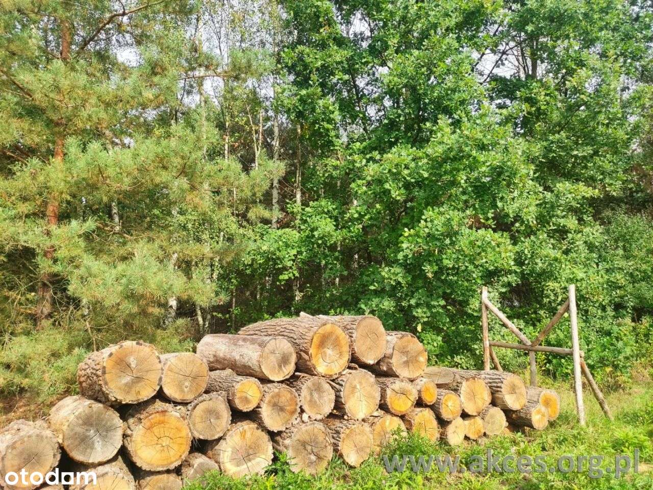 Gmina Leoncin, działka budowlana. - Pełny obrazek: 5/5