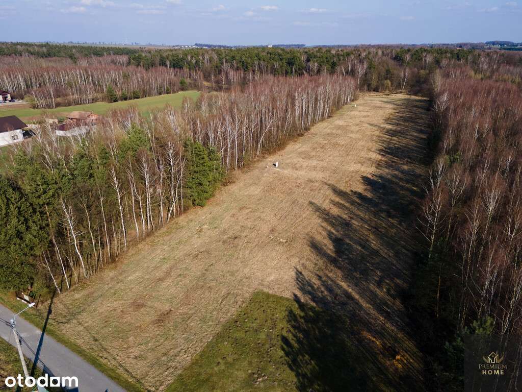 Działki budowlane 15 minut od centrum Częstochowy - Pełny obrazek: 4/7