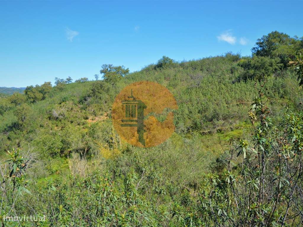 Terreno Rústico próximo de Santa Catarina da Fonte do Bispo - Grande imagem: 5/15