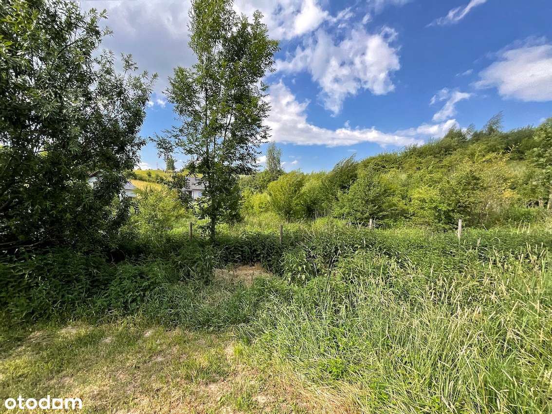 Januszowice 8,5 ar budowlane, media-5