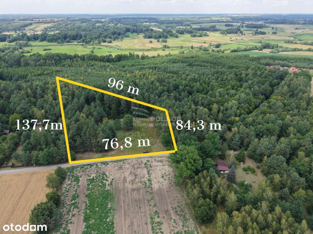 DZIAŁKA W MALOWEJ GÓRZE – 8555 m² - Pełny obrazek: 4/6