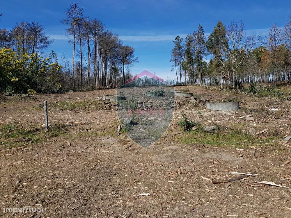 Terreno  Venda em Espinho,Mangualde - Grande imagem: 4/9